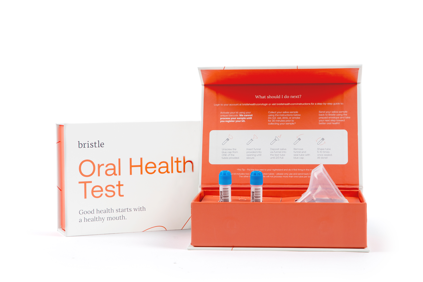 Bristle Oral Health Test