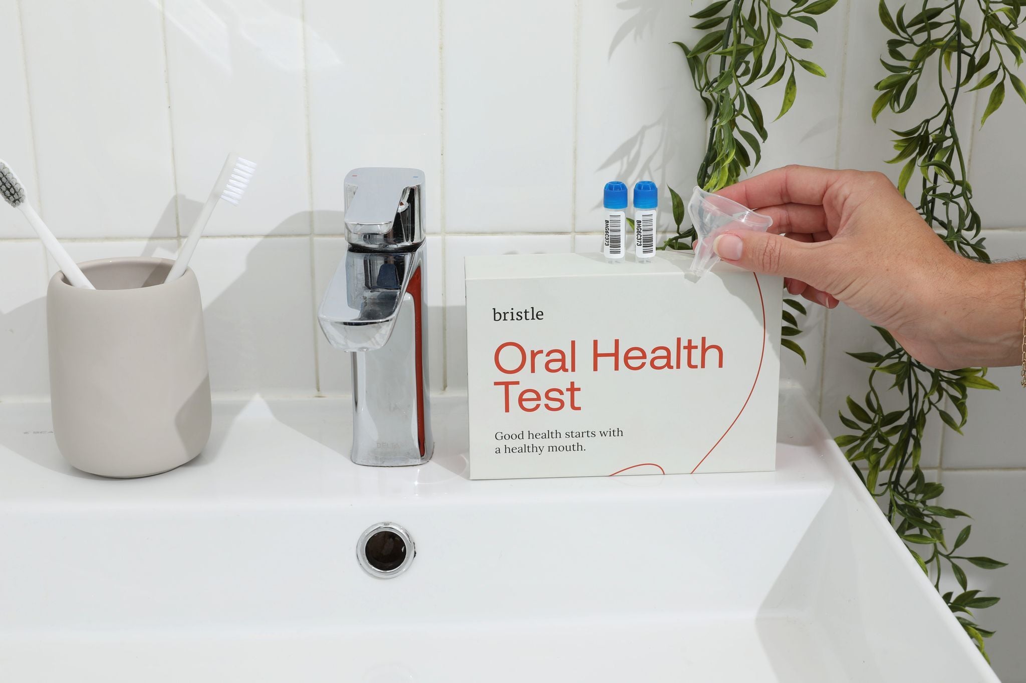 Bristle Oral Health Test